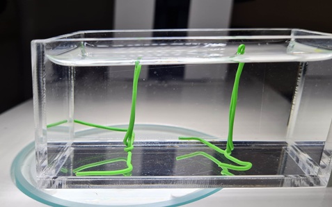 A simple structure consisting of coated wire and a large vertical cover glass, which was inserted into a cuvette.