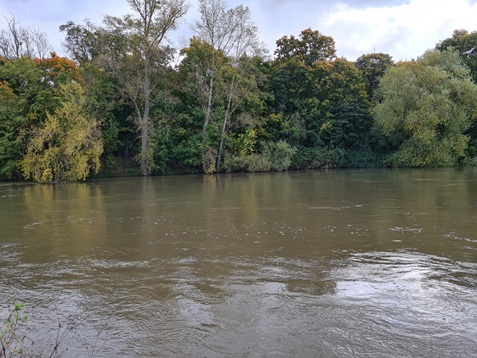 The Neckar River at the site of the finding with high water levels
