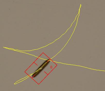 Pinnularia mit rechteckigem Tracker