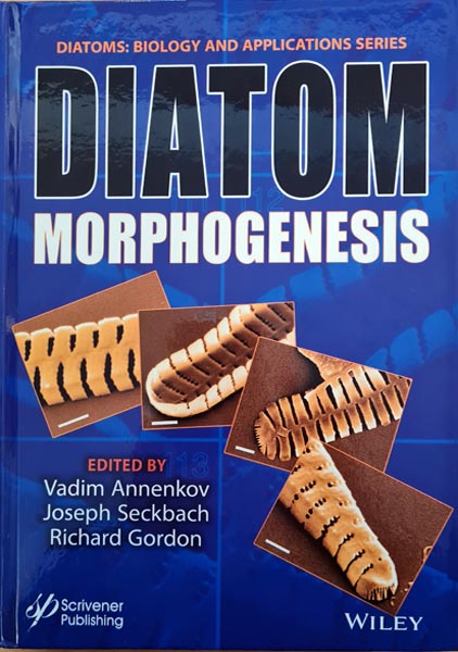 diatom morphogenesis